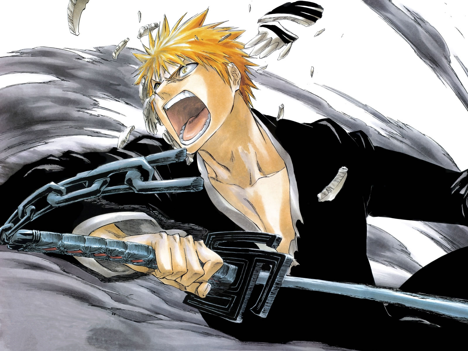 Portada de Variadas Bleach
