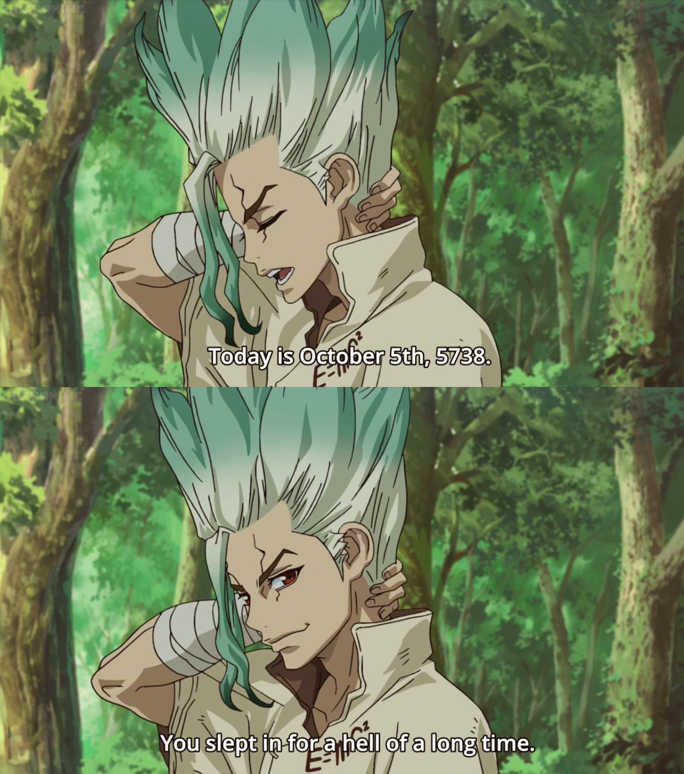 6718-OPMYA-Dr_Stone.png