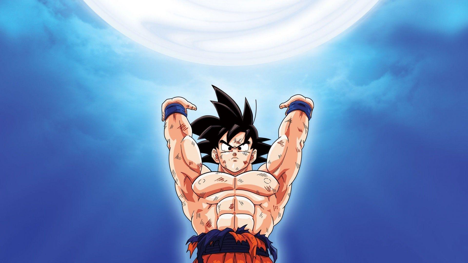 Portada de Variadas Dragon Ball Z