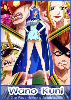 ¡Resumen de grandes peleas! Sombrero de Paja contra el Tobi Roppo