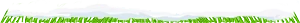 Cesped